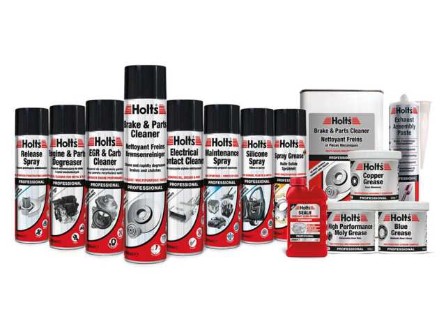 HOLTS PROFESSIONAL RANGE