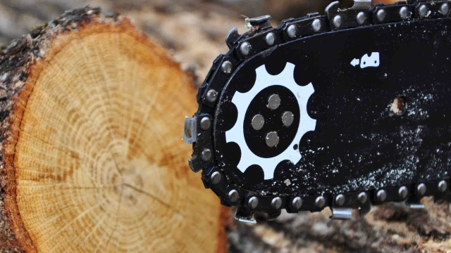 Chain & Bar Oils